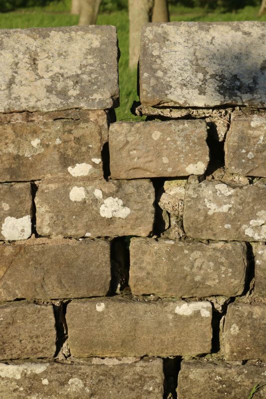 Common Causes Of Damage In Brick, Stone, And Block Walls
